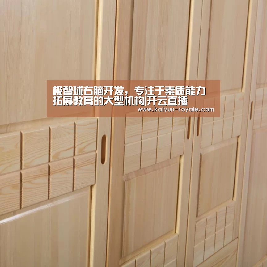 极智球右脑开发,专注于素质能力拓展教育的大型机构|开云直播(图3) 开云直播