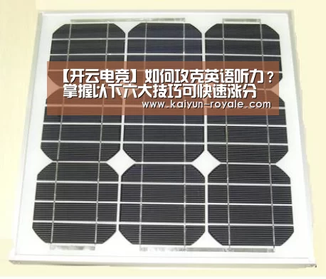 开云竞猜