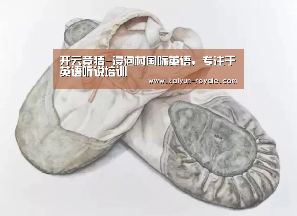 开云竞猜-浸泡村国际英语,专注于英语听说培训(图3) 开云电竞